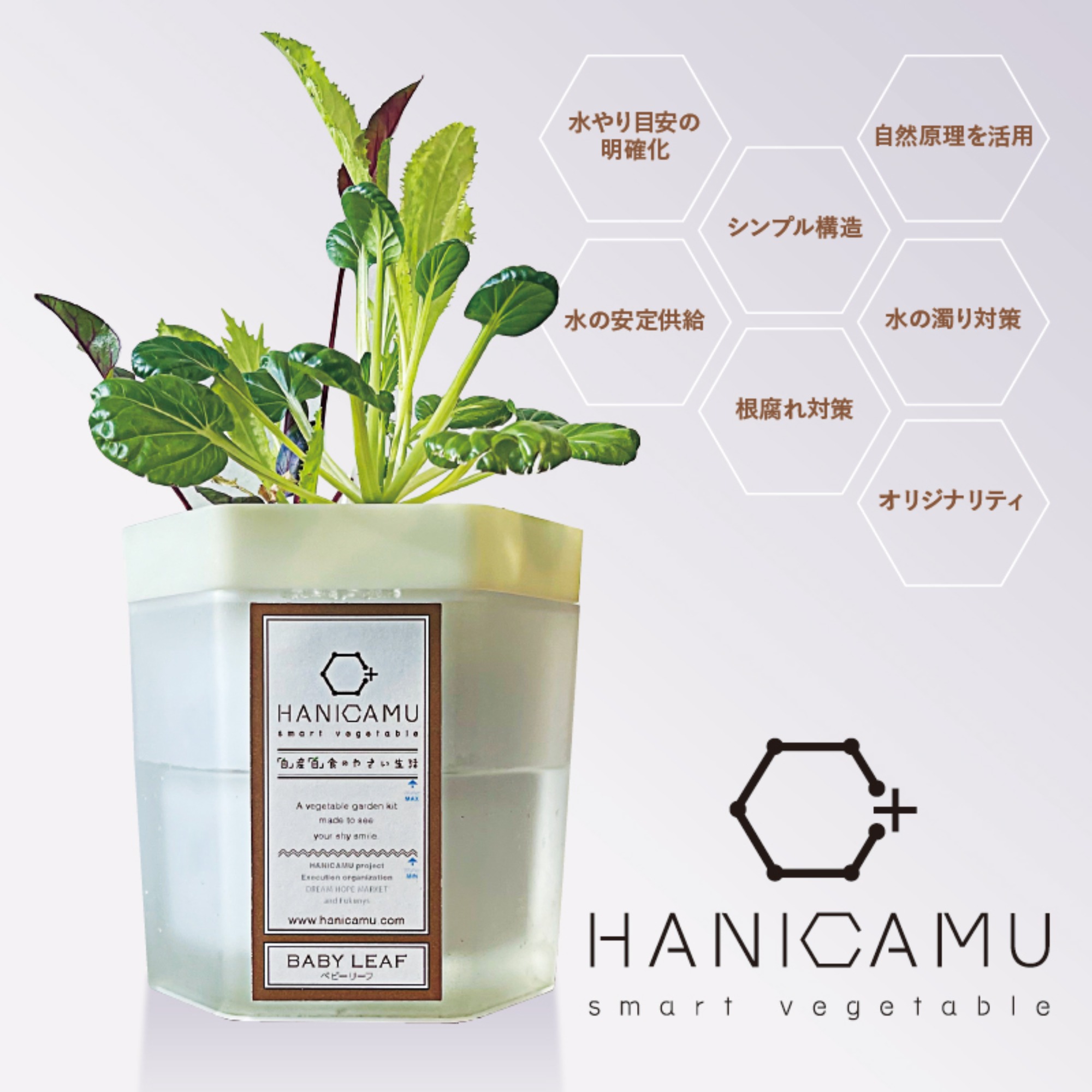 HANICAMU 菜園キット構造開発